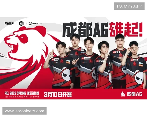 深入了解电子游艺AG，揭秘背后的技术与运营模式